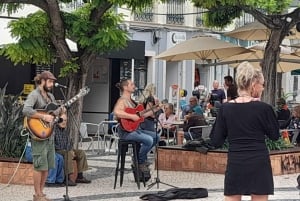 Algarve: Lagos, Ponta da Piedade en Sagres Privé Tour