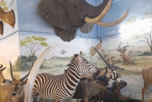 Algarve: Lagos, Ponta da Piedade en Sagres Privé Tour