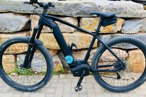 Algarve: Lagos Sightseeing guided Tour with e-bikes