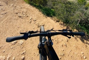 Algarve: Lagos Sightseeing guided Tour with e-bikes