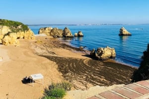 Algarve: Lagos Sightseeing guided Tour with e-bikes