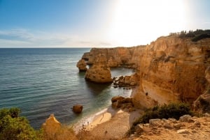 Algarve: Omvisning i landskap, keramikk og vingård