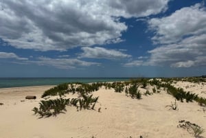 Algarve, Lissabon; V.I.P. Vrouwentrip met vrouwelijke gids