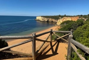 Algarve, Lissabon; V.I.P. Vrouwentrip met vrouwelijke gids