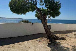 Algarve, Lissabon; V.I.P. Vrouwentrip met vrouwelijke gids