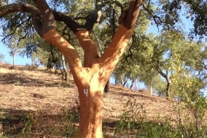 Algarve, Lissabon; V.I.P. Vrouwentrip met vrouwelijke gids