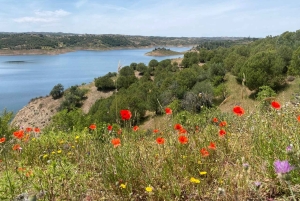 Algarve: experiência medieval no leste e jantar em Espanha