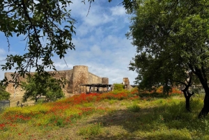 Algarve: experiência medieval no leste e jantar em Espanha