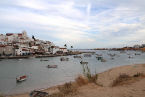 Algarve Oceanic Tastes Private Tour