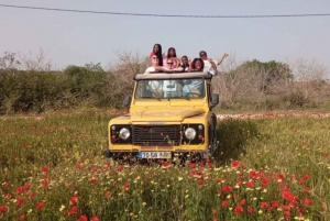 Algarve: Off-Road Jeep Safari Full-Day Tour