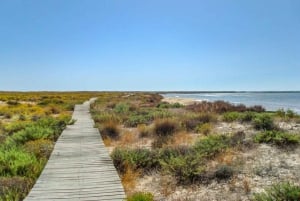 Algarve: Olhão Hoogtepunten Tour en Ria Formosa Rondvaart