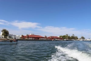 Algarve: Olijfolie, markt en rondvaart door de Ria Formosa