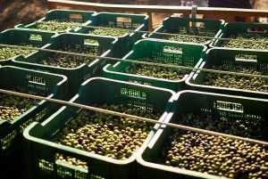 Algarve: Olijfolie, markt en rondvaart door de Ria Formosa