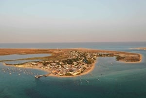 Algarve: Olijfolie, markt en rondvaart door de Ria Formosa
