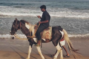 Algarve: Premium Guided Horseback Ride with Picnic