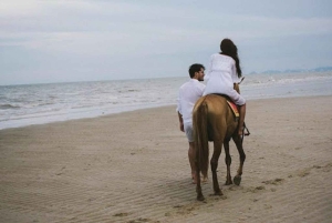 Algarve: Premium Guided Horseback Ride with Picnic