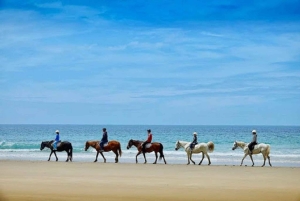 Algarve: Premium Guided Horseback Ride with Picnic