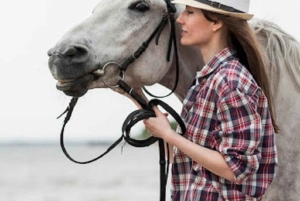 Algarve: Premium Guided Horseback Ride with Picnic