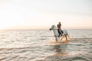 Algarve: Premium Guided Horseback Ride with Picnic