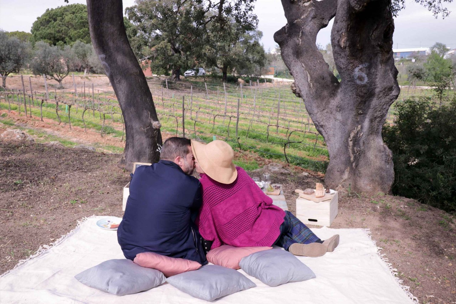 Algarve Private Picnic in the Vineyard with Wine Pairing