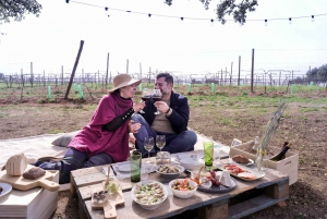 Algarve Private Picnic in the Vineyard with Wine Pairing