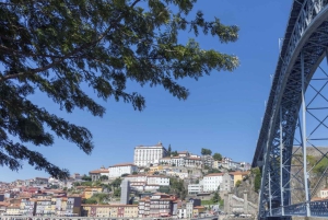 Algarve: Private Transfer to Porto with Stops up to 3 Cities