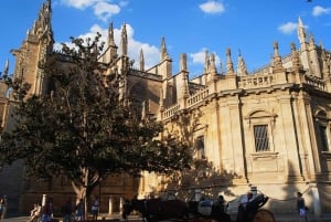 Algarve: Private Transfer to Seville