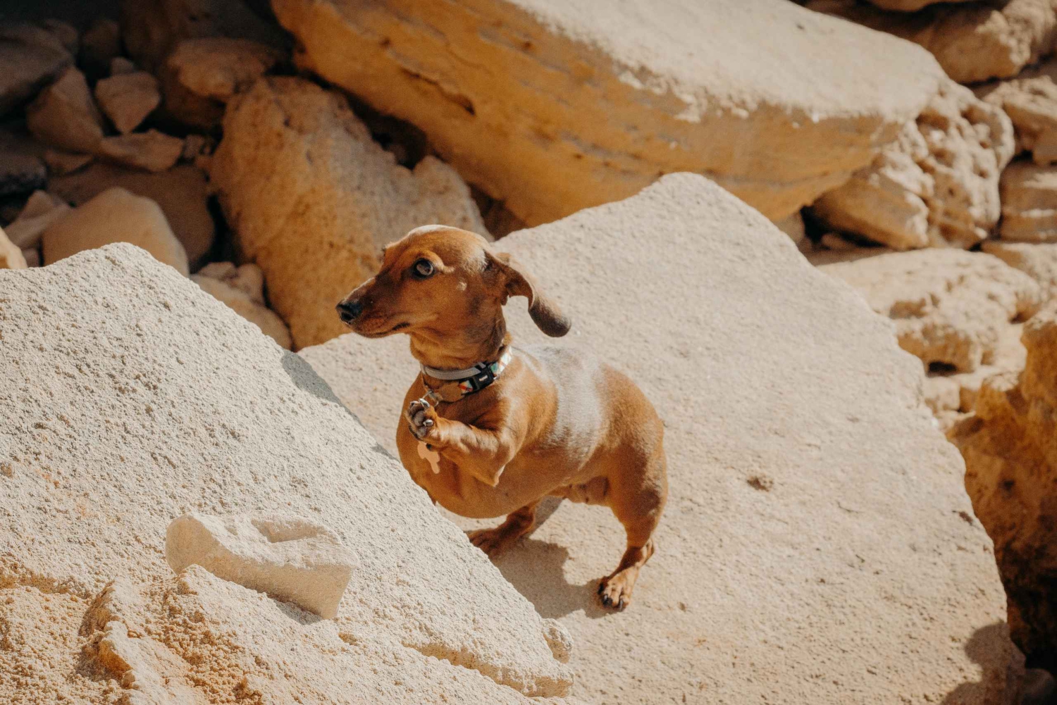 Algarve: Privates Urlaubs-Fotoshooting mit einem Einheimischen …