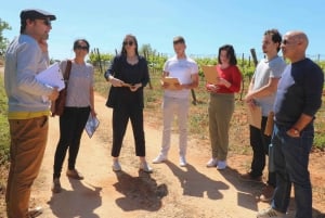 Algarve Private Vineyard Picknick mit Weinbegleitung