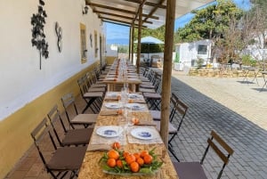 Algarve Private Vineyard Picknick mit Weinbegleitung