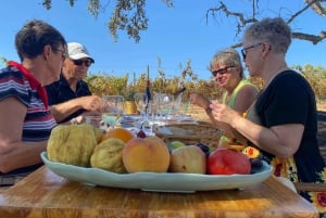Algarve Private Vineyard Picnic with Wine Pairing