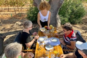 Algarve Private Vineyard Picnic with Wine Pairing