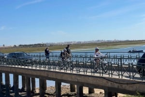 Fahre den Tag weg: Einfach & erschwinglich E-Motorräder mieten