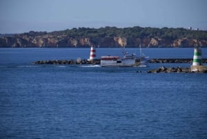 Algarve : Rocky coast and fishing villages on a private tour