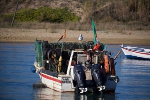 Algarve : Rocky coast and fishing villages on a private tour