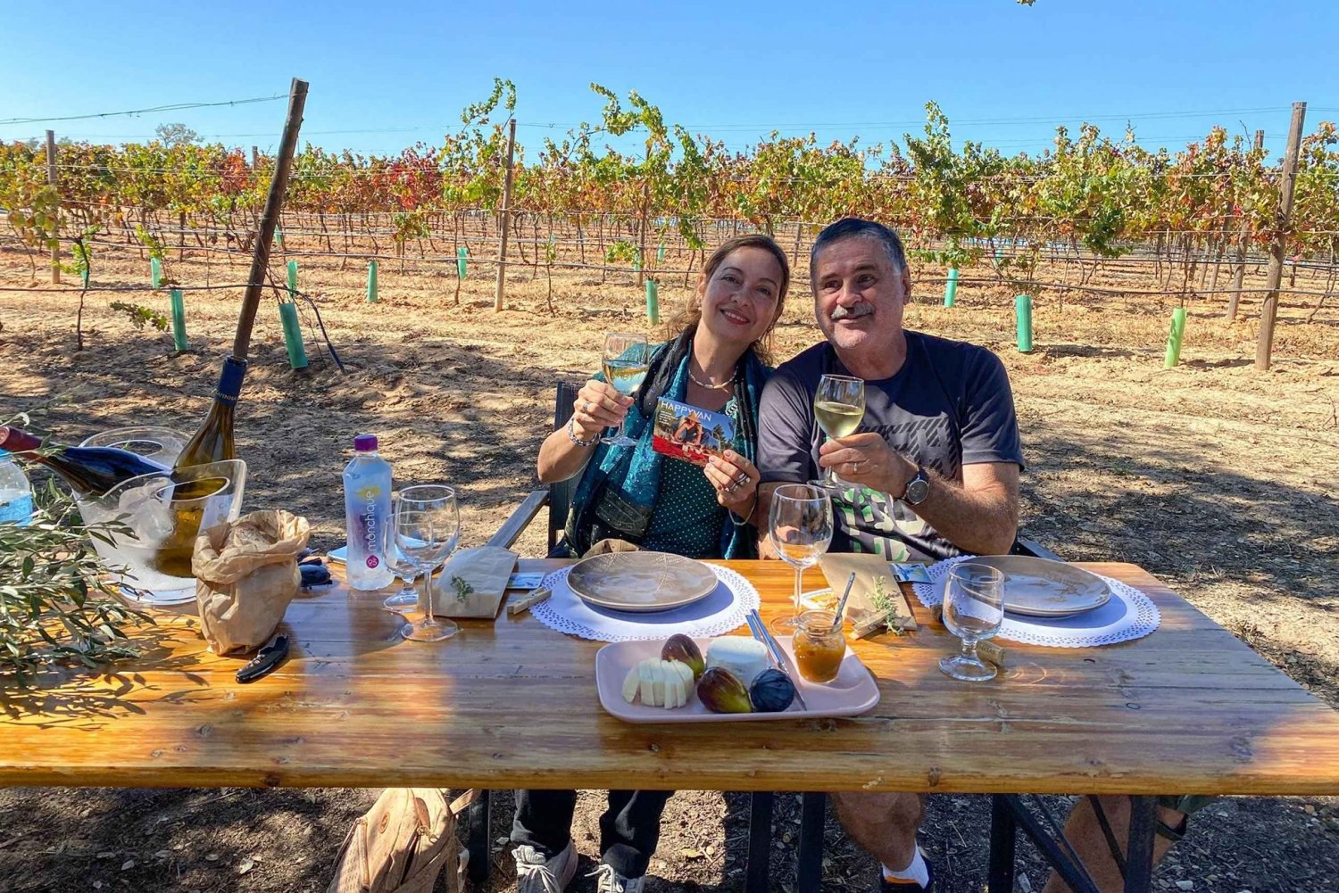 Romantisches Picknick im Weinberg an der Algarve