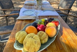 Carvoeiro, Portimão, Lagos: Piquenique romântico na vinha no Algarve