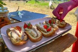 Carvoeiro, Portimão, Lagos: Piquenique romântico na vinha no Algarve