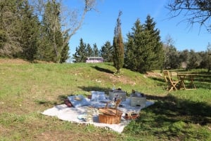 Carvoeiro, Portimão, Lagos: Piquenique romântico na vinha no Algarve