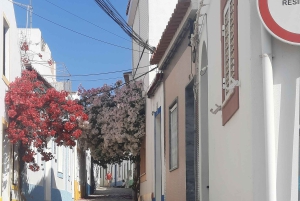 Algarve: 4x4 Safari Tour – från kustens underverk till landsbygdens skatter