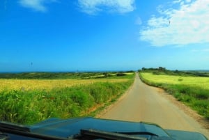 Algarve: Serra de Monchique & Bravura Off-Road päiväretki