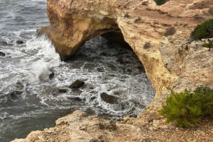 Algarve Siedem Wiszących Dolin Benagil Triptour