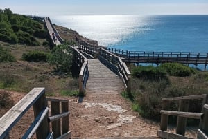 Algarve Siedem Wiszących Dolin Benagil Triptour