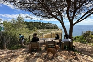 Algarve: Tour delle 7 Sette Valli Pensili - Foto e trasferimenti