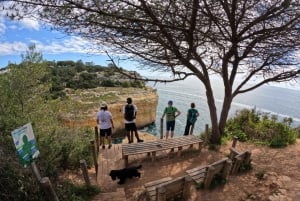 Algarve: Tour delle 7 Sette Valli Pensili - Foto e trasferimenti