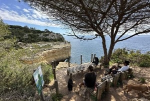 Algarve: 7 Seven Hanging Valley Hike Tour- Photos & Transfer