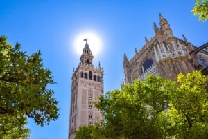 Algarve: Sevilla hele dag winkelen en sightseeing tour