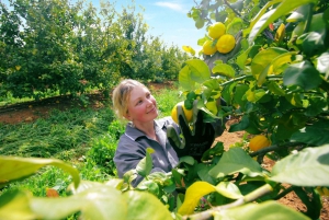 Algarve: Silves Farmers Market and Orchard Private Day Tour