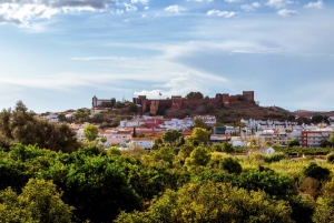 Algarve: Silves Farmers Market and Orchard Private Day Tour