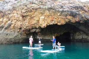 アルガルベ：スタンドアップパドルツアー＆スノーケリングでイングリーナ洞窟へ